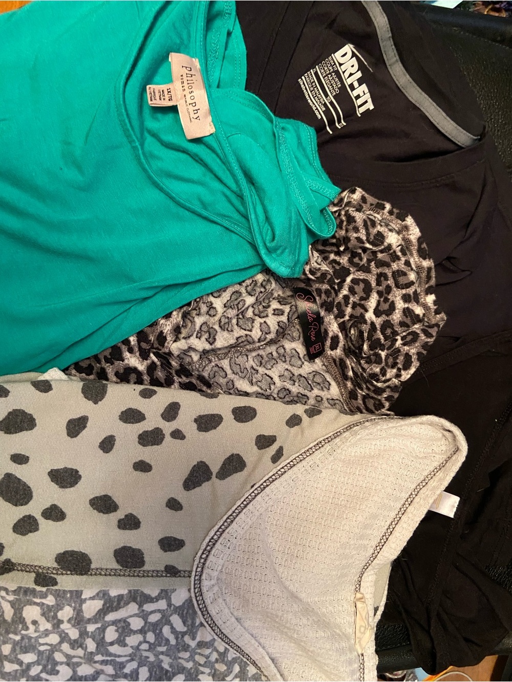 Philosophy Teal Tee with Black Dri-FIT and Gray Animal Prints